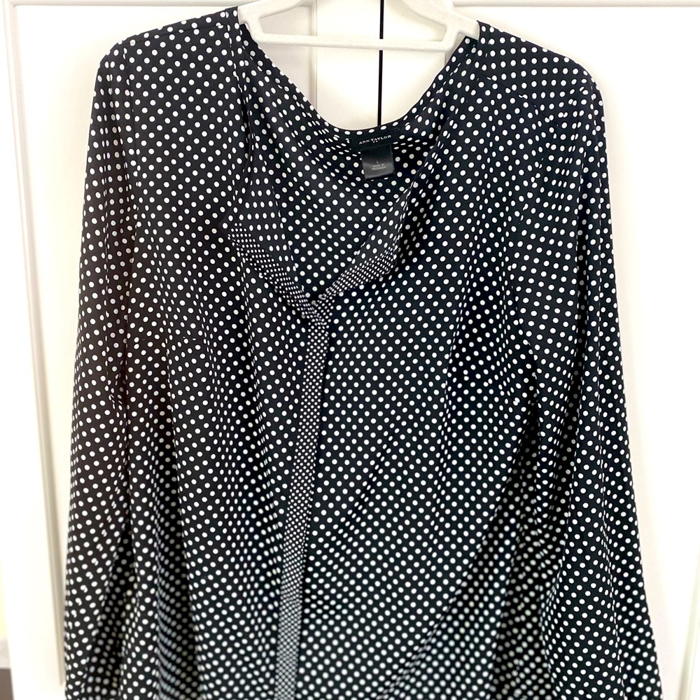 ANN TAYLOR Beautiful polka dot blouse LIKE NEW